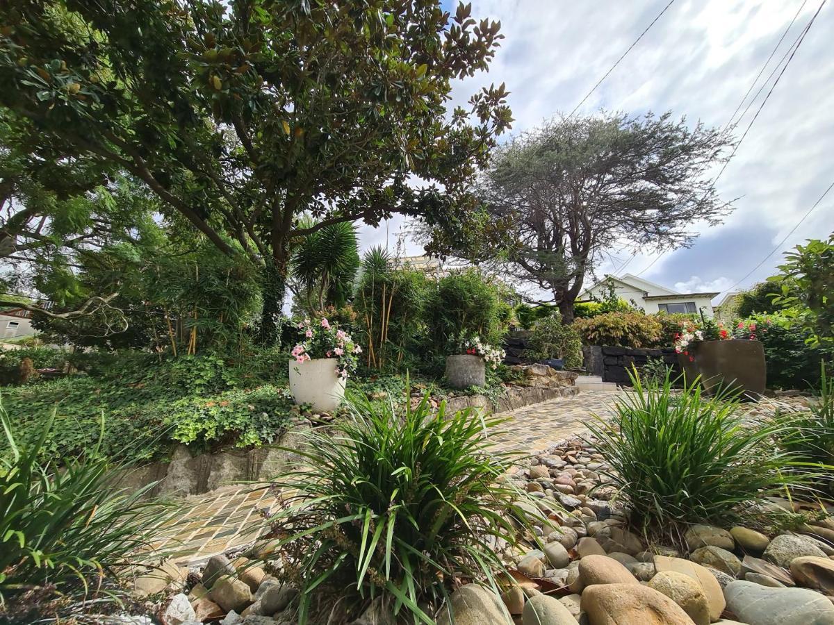 Vista Unit Close To The City & Airport & Train Station And Brighton Le Sands Beach Sydney Bagian luar foto